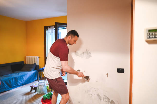 Best Home Mold Removal  in Bull Run, VA
